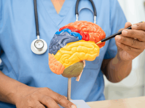 Doctors That Specialize in Dementia: Your Care Guide